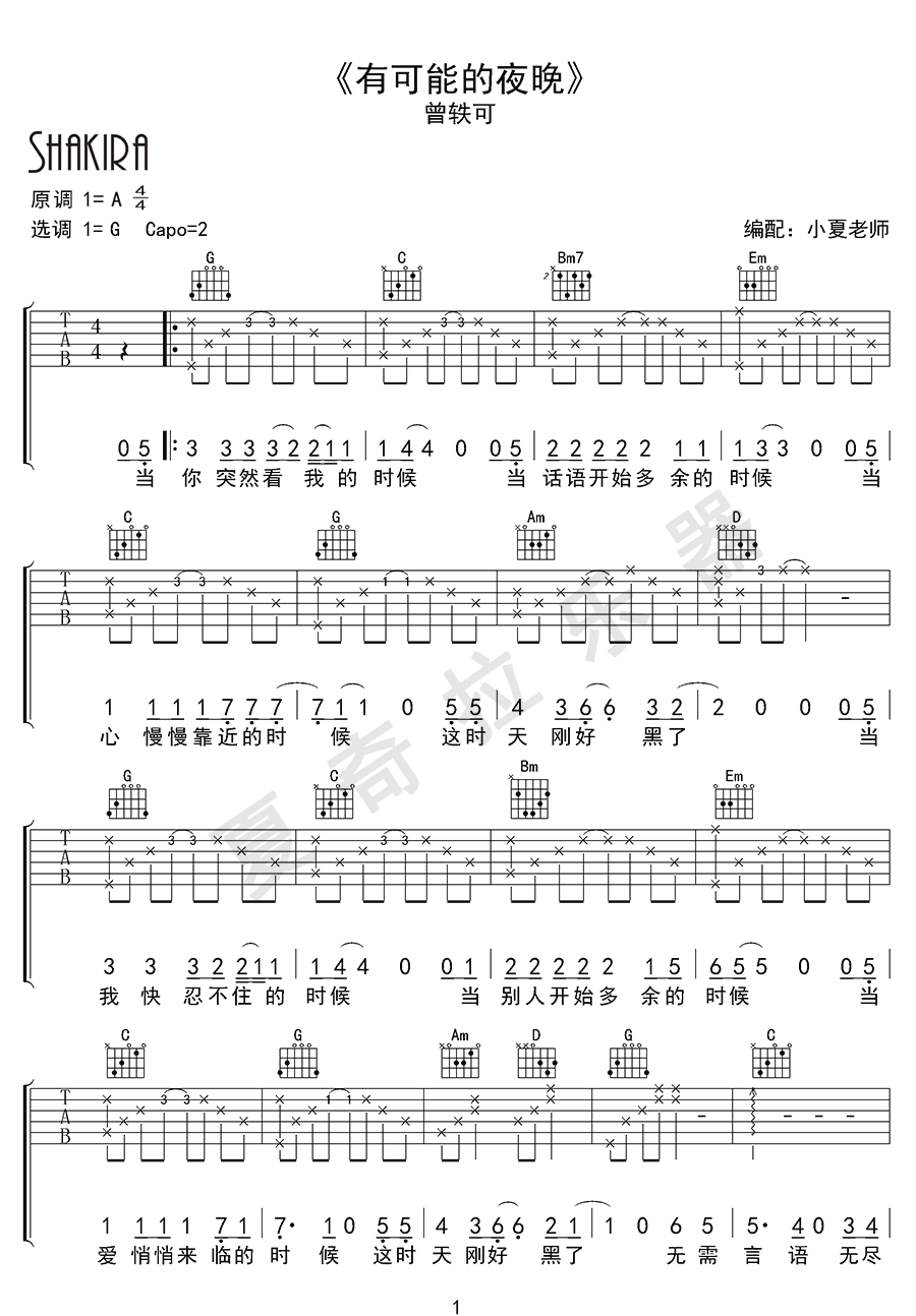有可能的夜晚吉他谱预览图