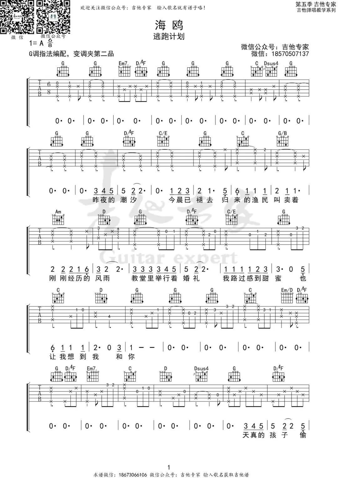 海鸥吉他谱预览图