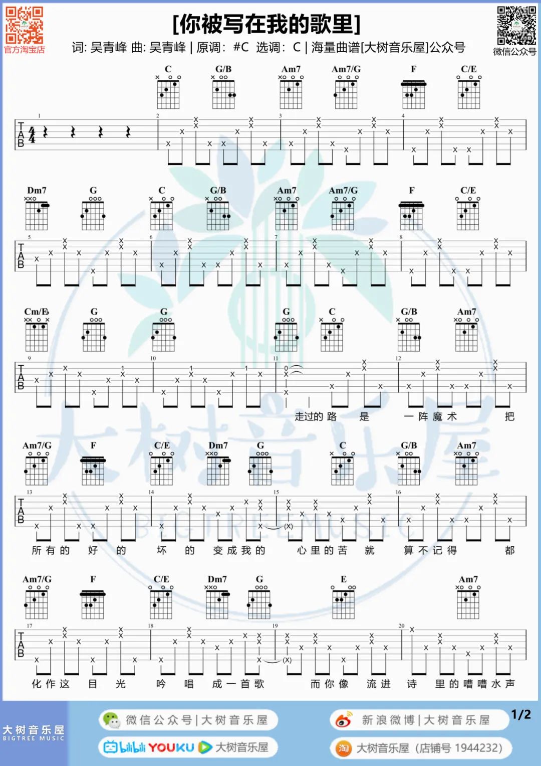 你被写在我的歌吉他谱预览图