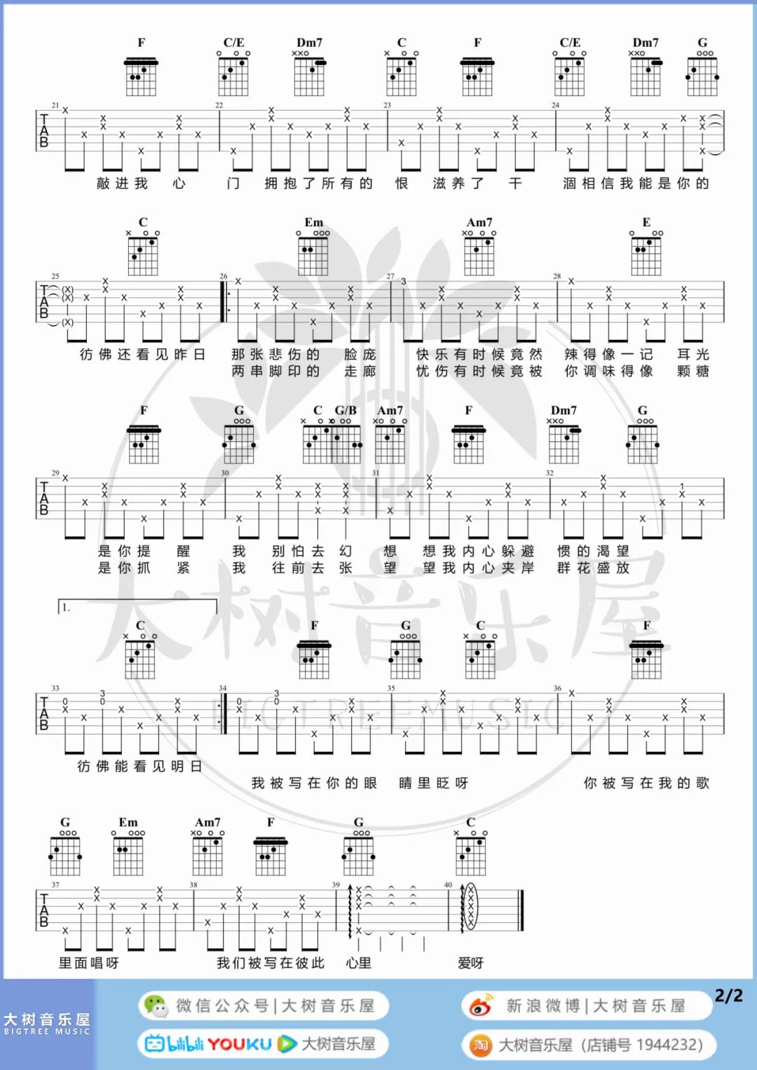 你被写在我的歌吉他谱预览图