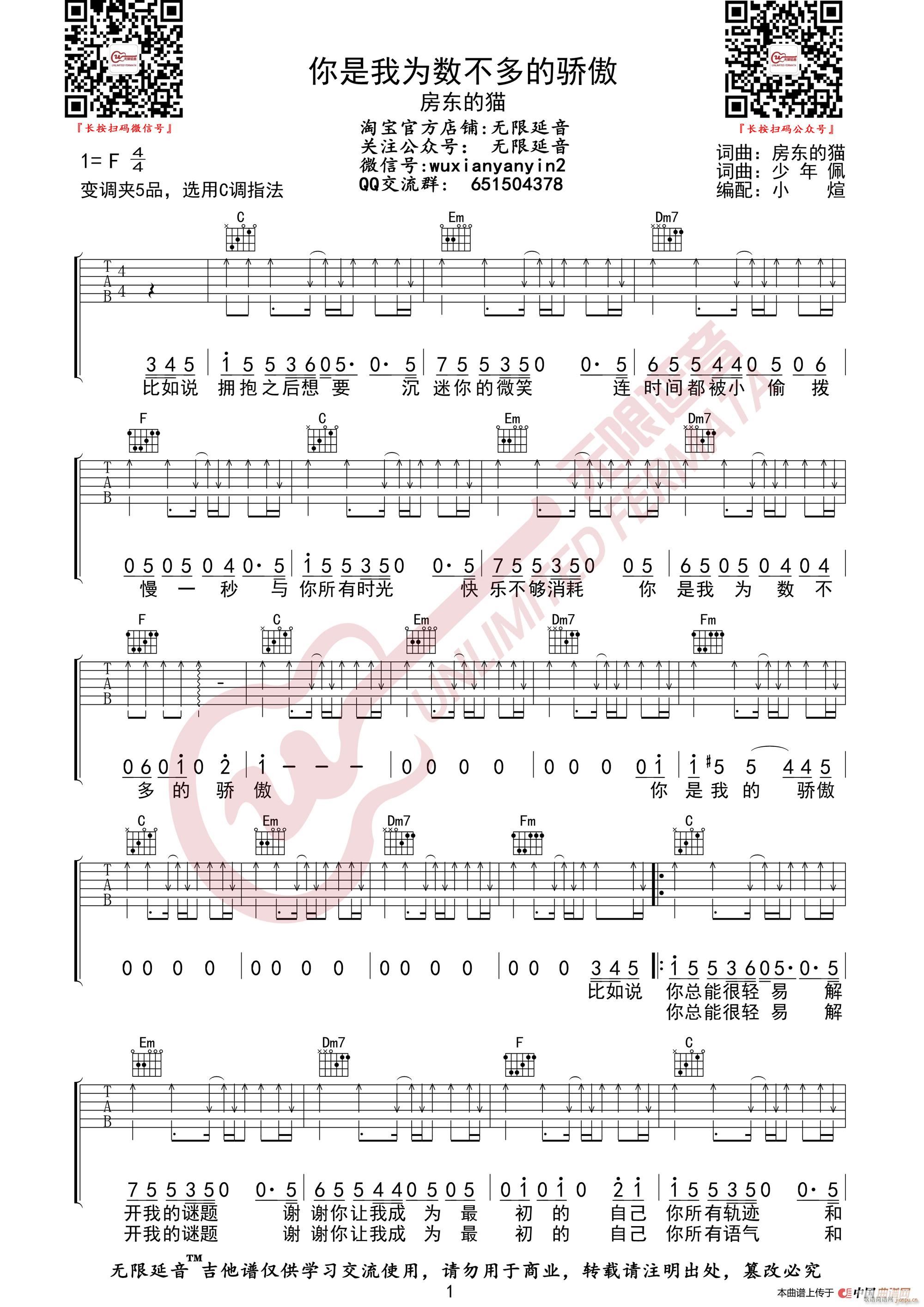 房东的猫 你是我为数不多的骄傲 无限延音编配(吉他谱)1