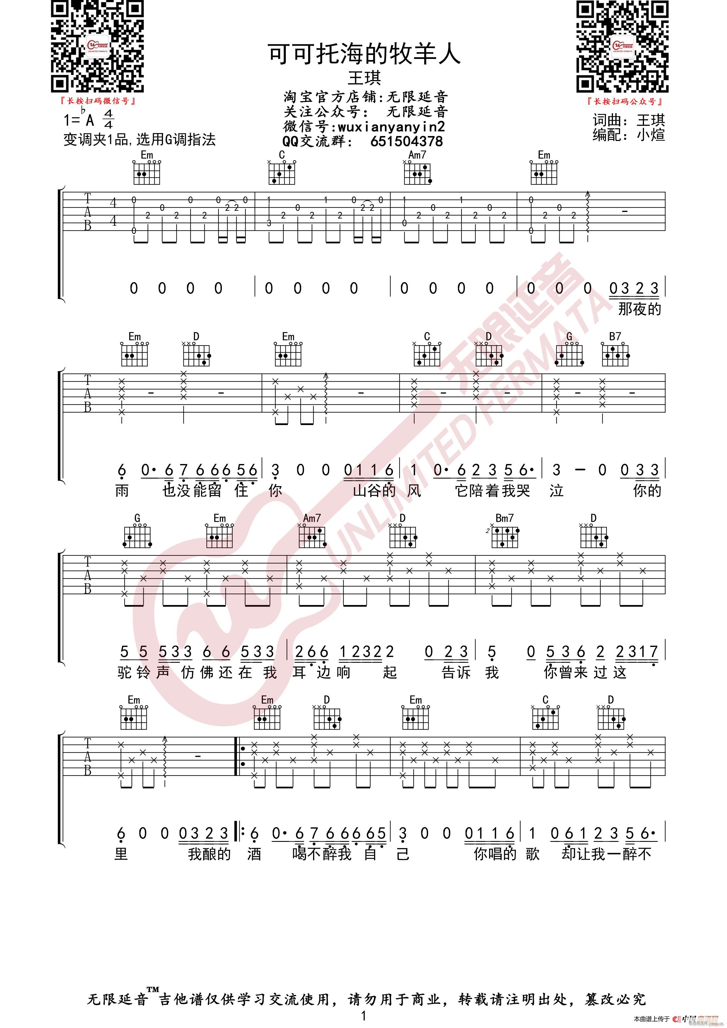 王琪 可可托海的牧羊人 无限延音编配(吉他谱)1