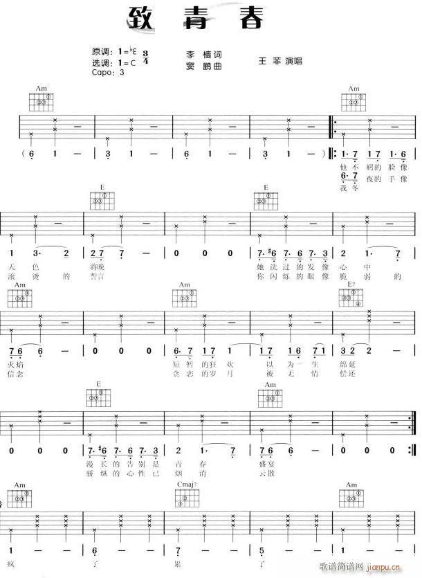 致青春1(吉他谱)1
