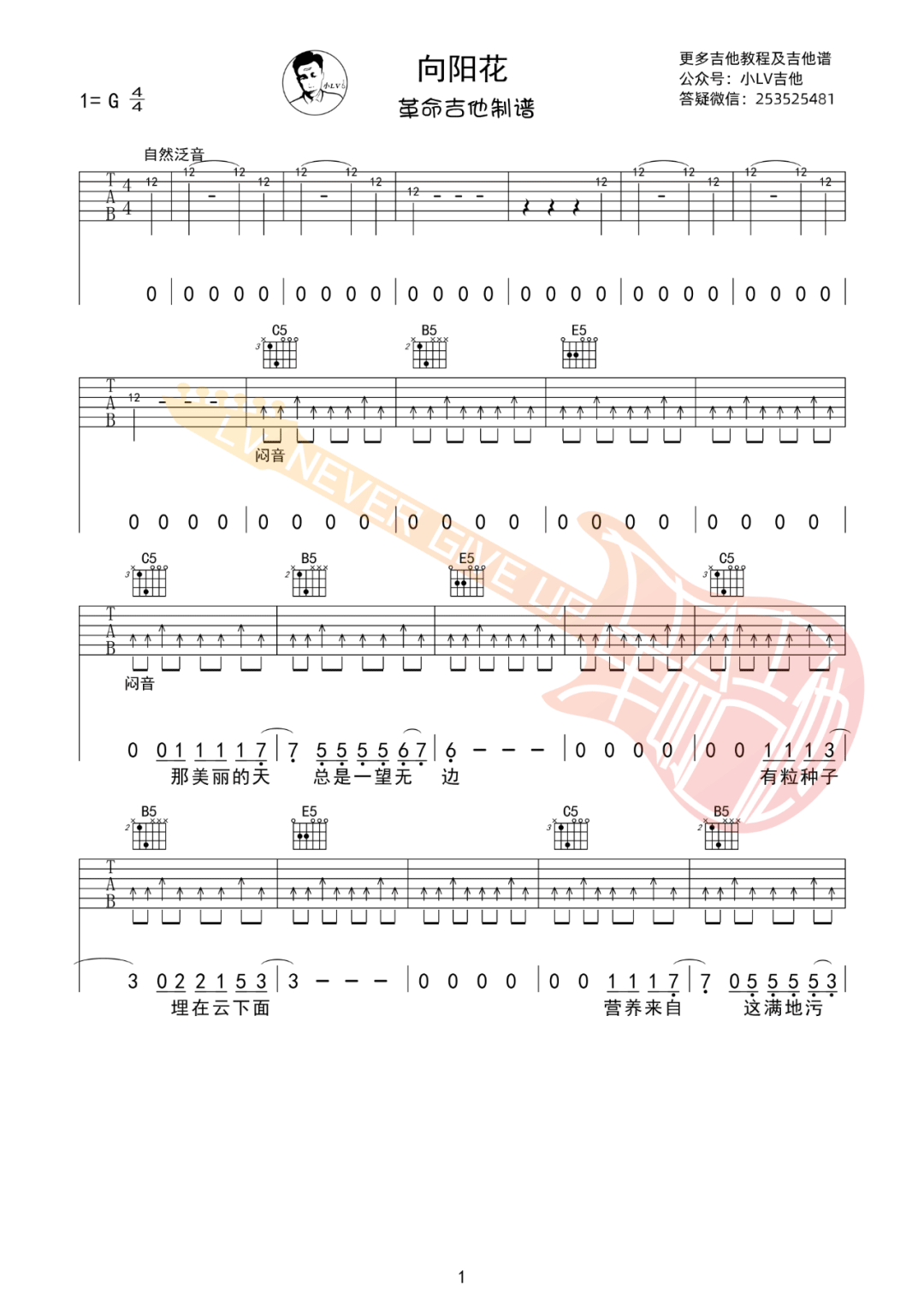 向阳花吉他谱1-谢天笑-G调指法