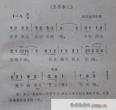 苏茅草儿(吉他谱)1