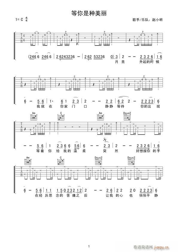 等你是种美丽(吉他谱)1