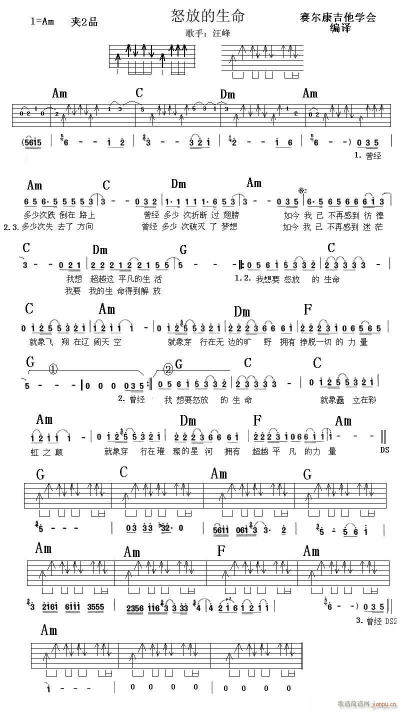 怒放的生命－C调(吉他谱)1