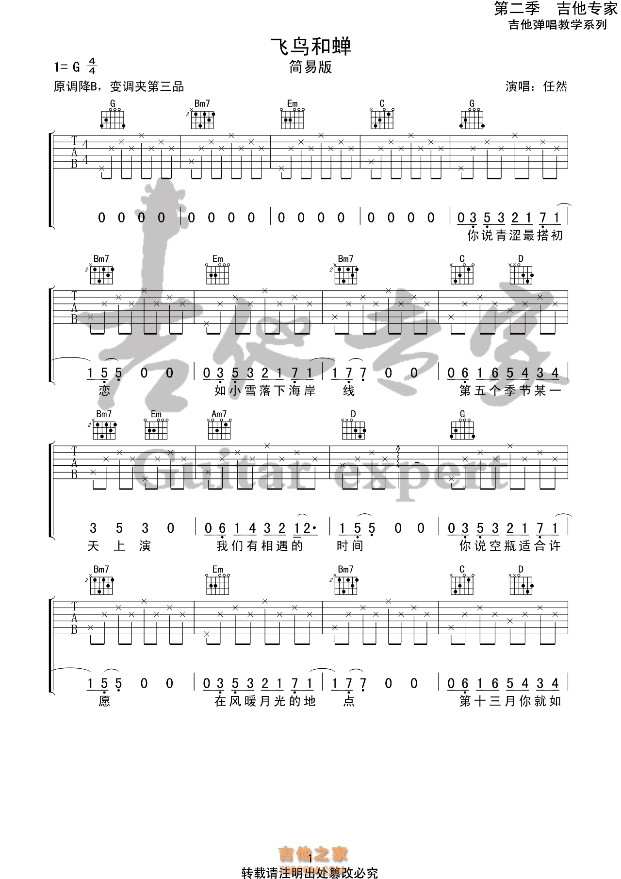 飞鸟和蝉吉他谱简易版
