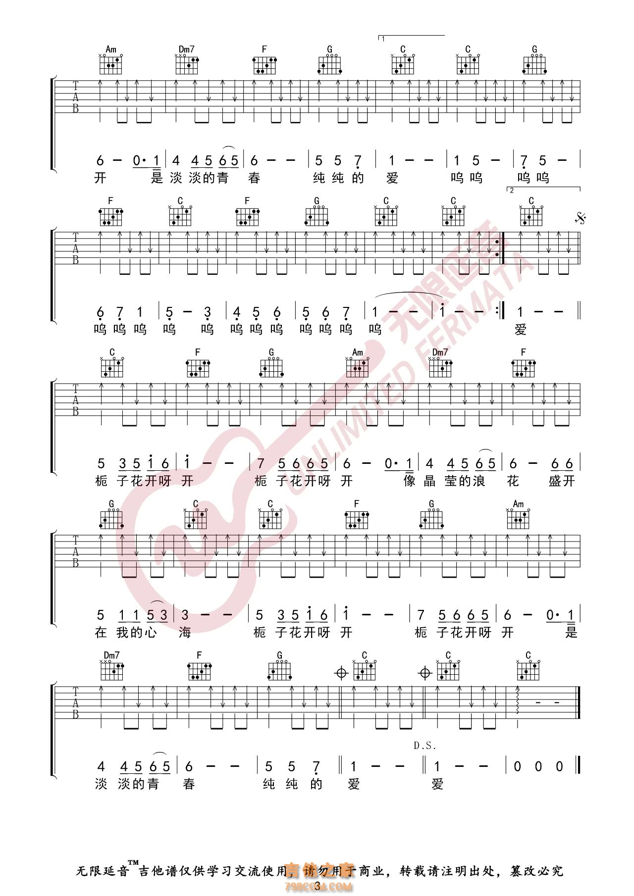 何炅 栀子花开 吉他谱
