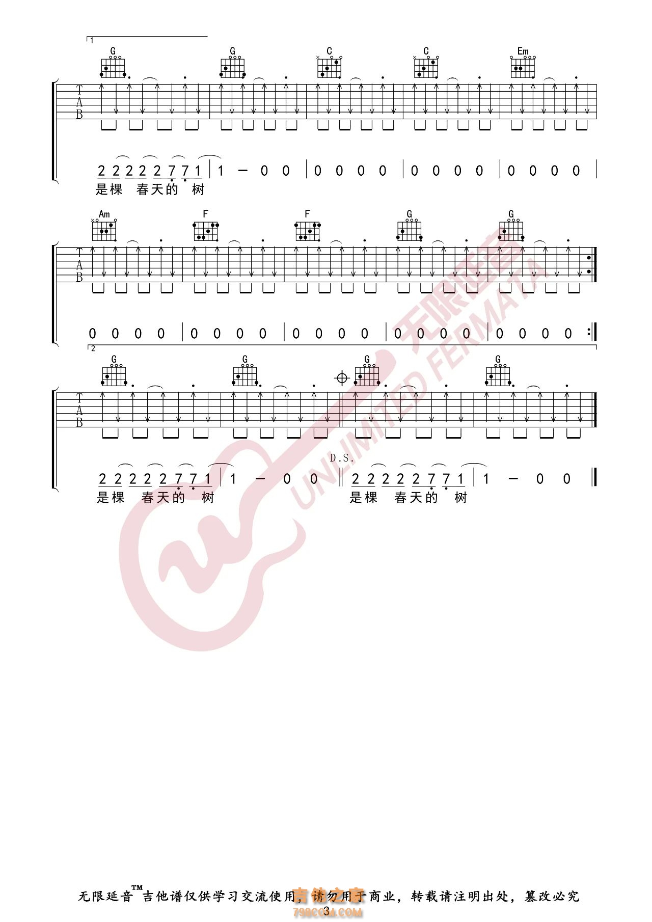 谢春花 一棵会开花的树 吉他谱