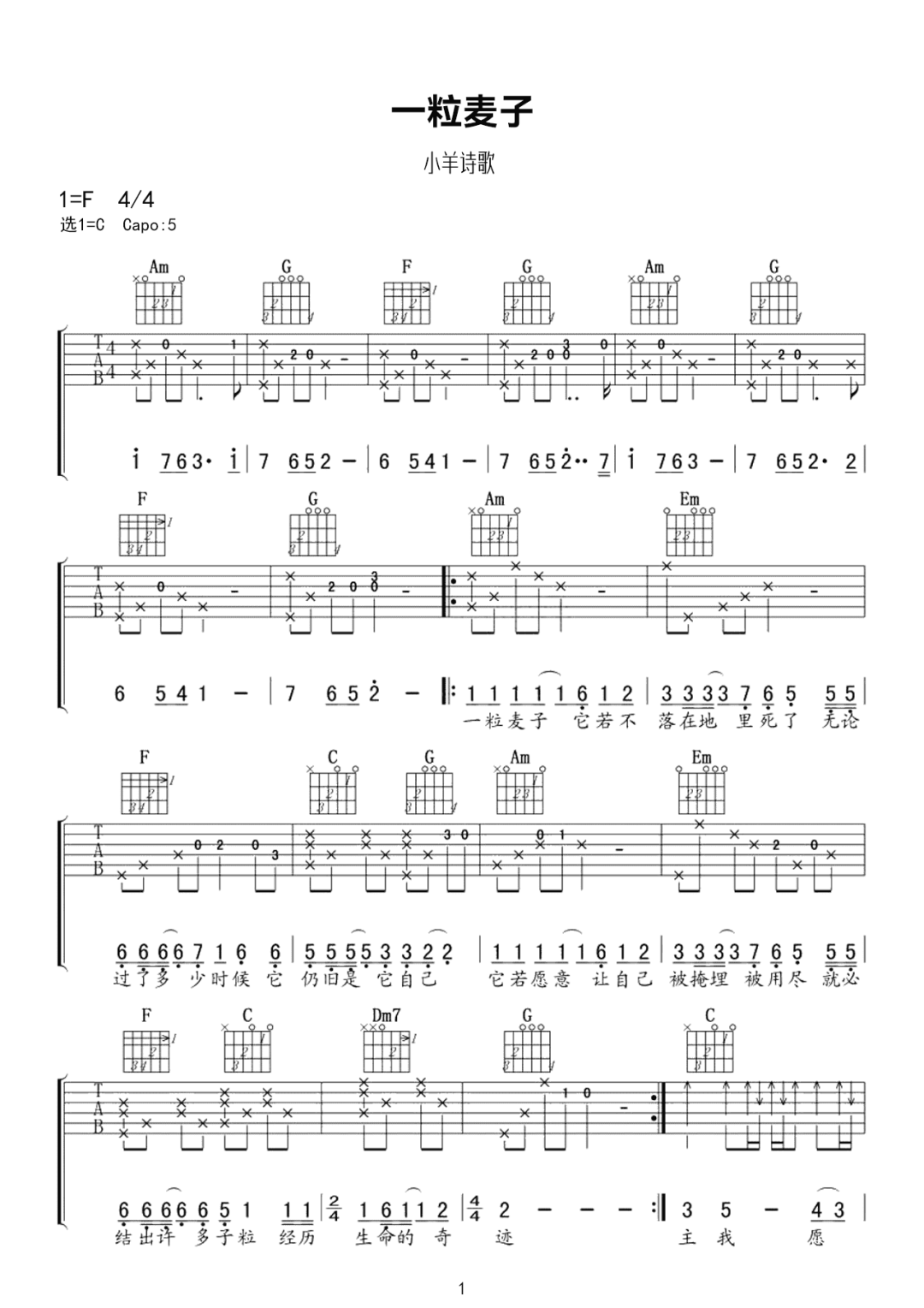一粒麦子吉他谱1-小羊诗歌-C调指法