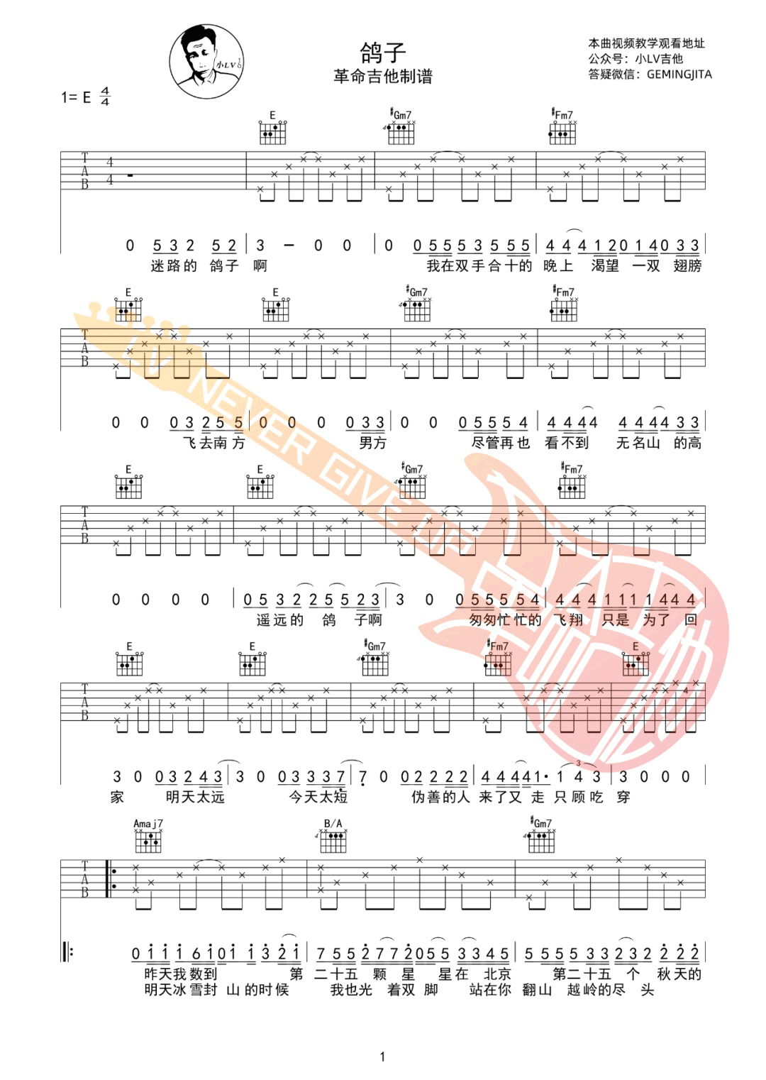 鸽子吉他谱1-宋冬野-E调指法