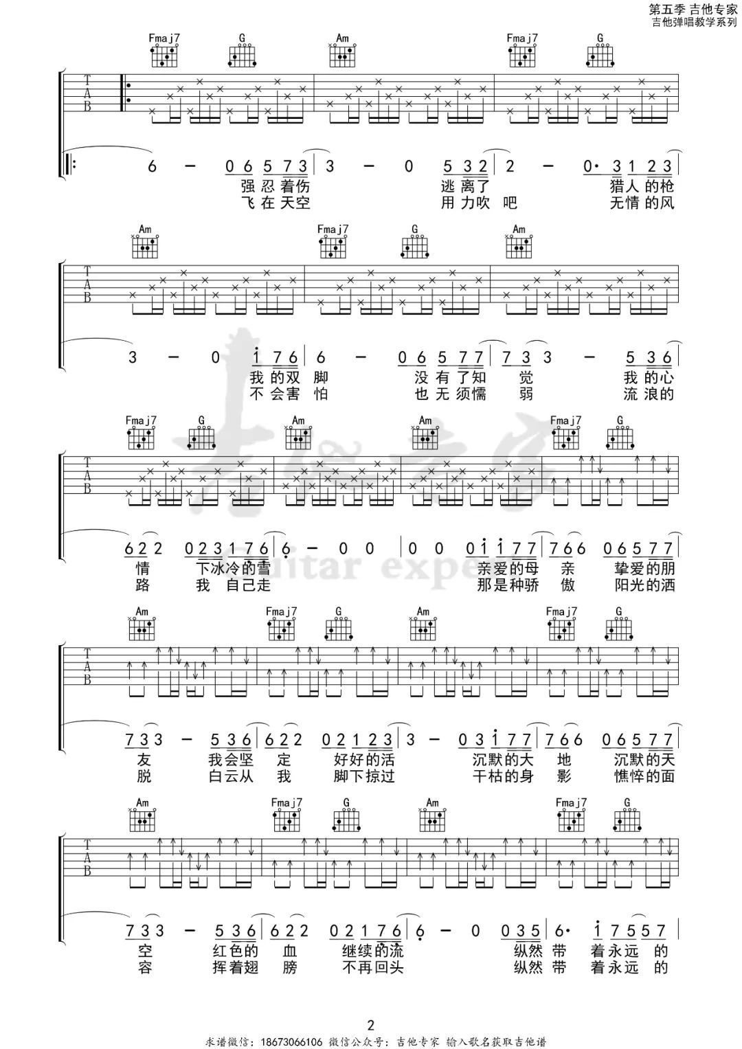 白鸽吉他谱2-伍佰-C调指法