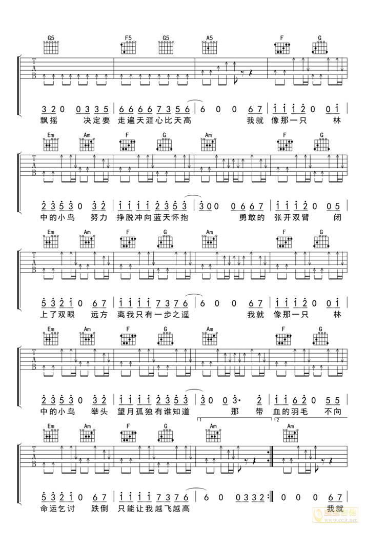 林中鸟吉他谱2-葛林