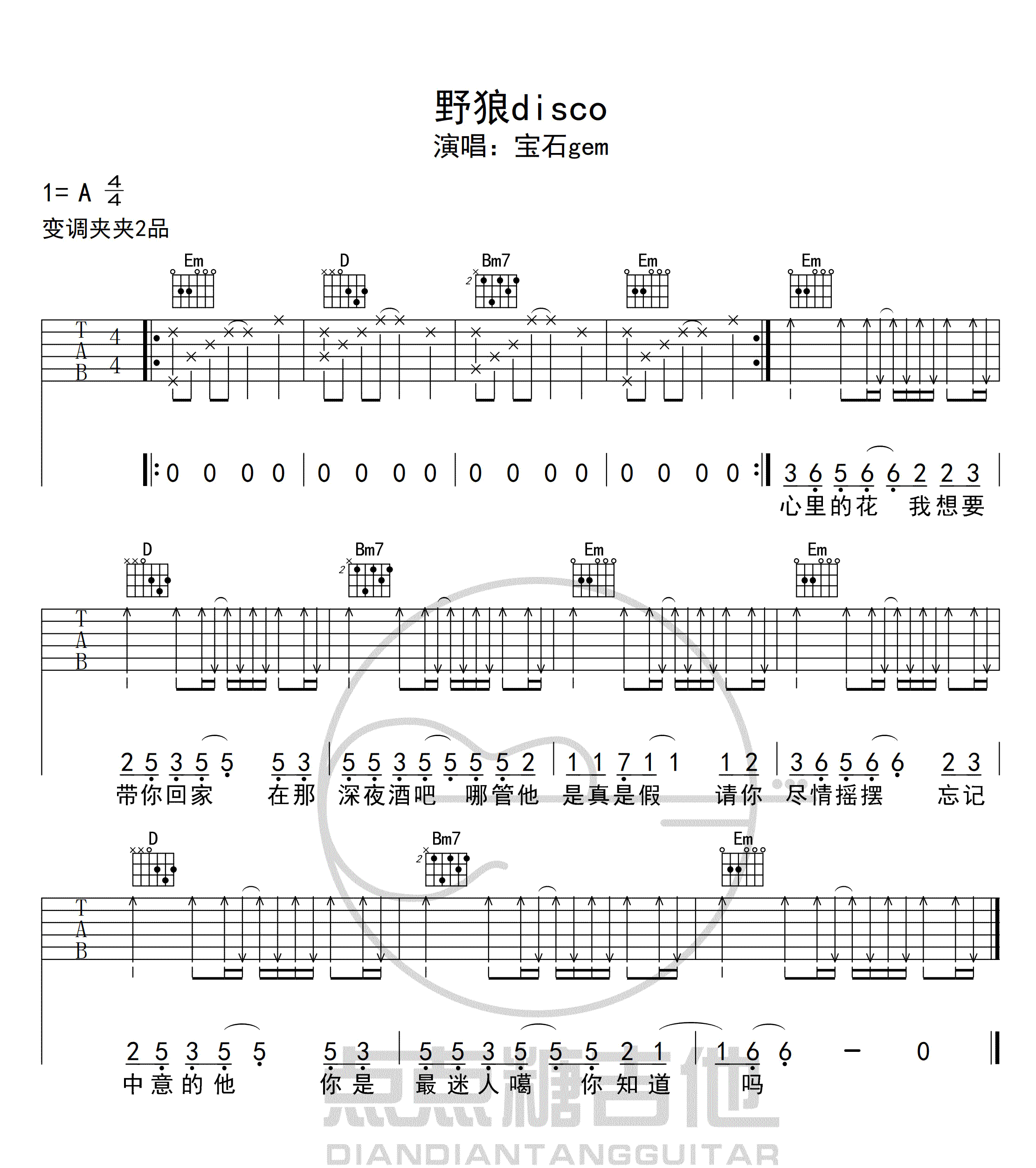 野狼Disco吉他谱1