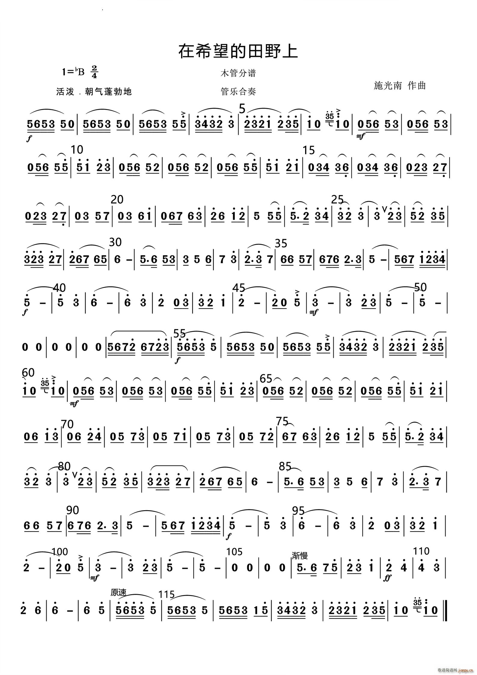 在希望的田野上管乐合奏 和(总谱)8