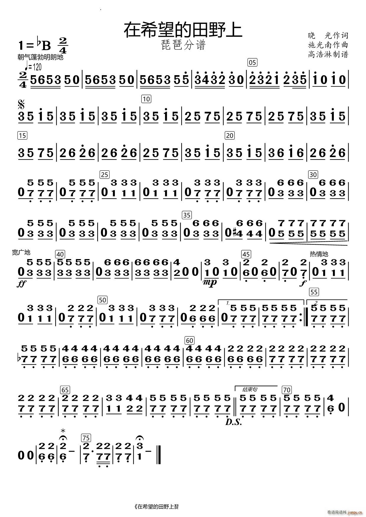 在希望的田野上琵琶(总谱)1