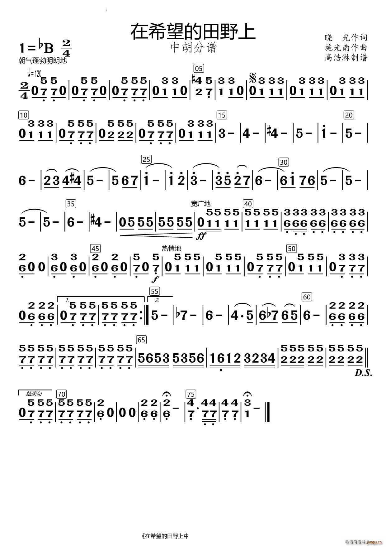 在希望的田野上中胡(总谱)1