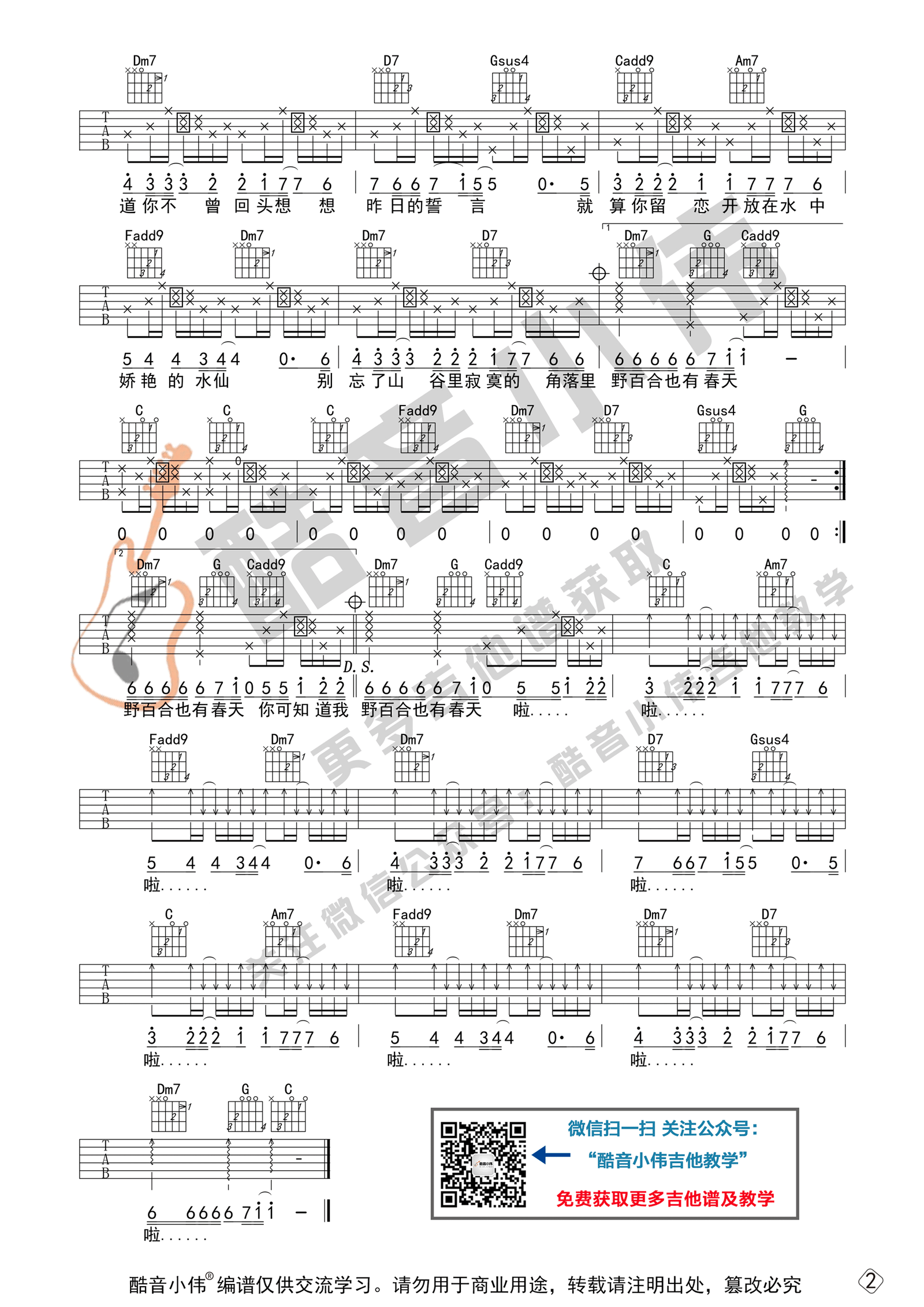 野百合也有春天吉他谱2