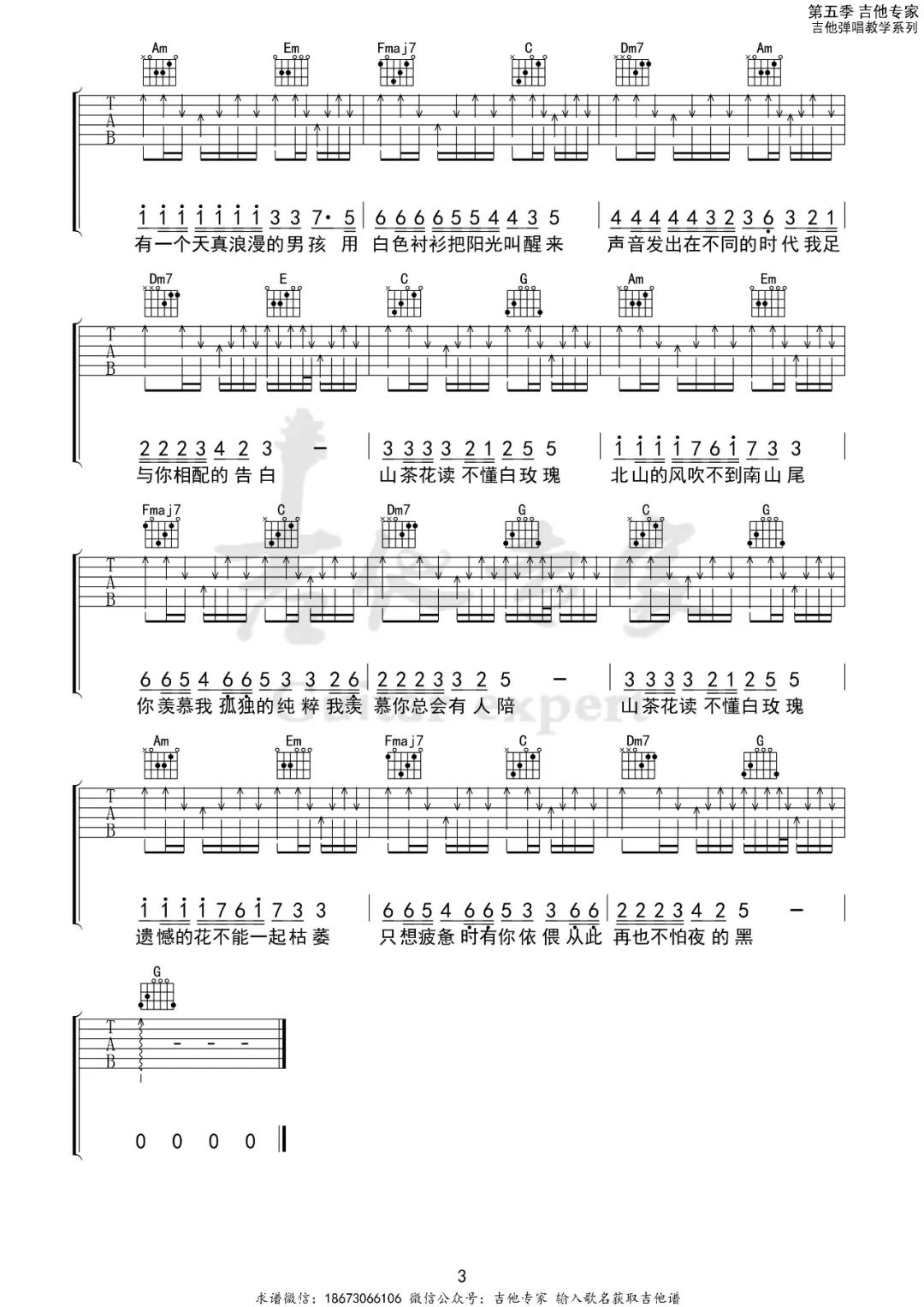 山茶花读不懂白玫瑰吉他谱3