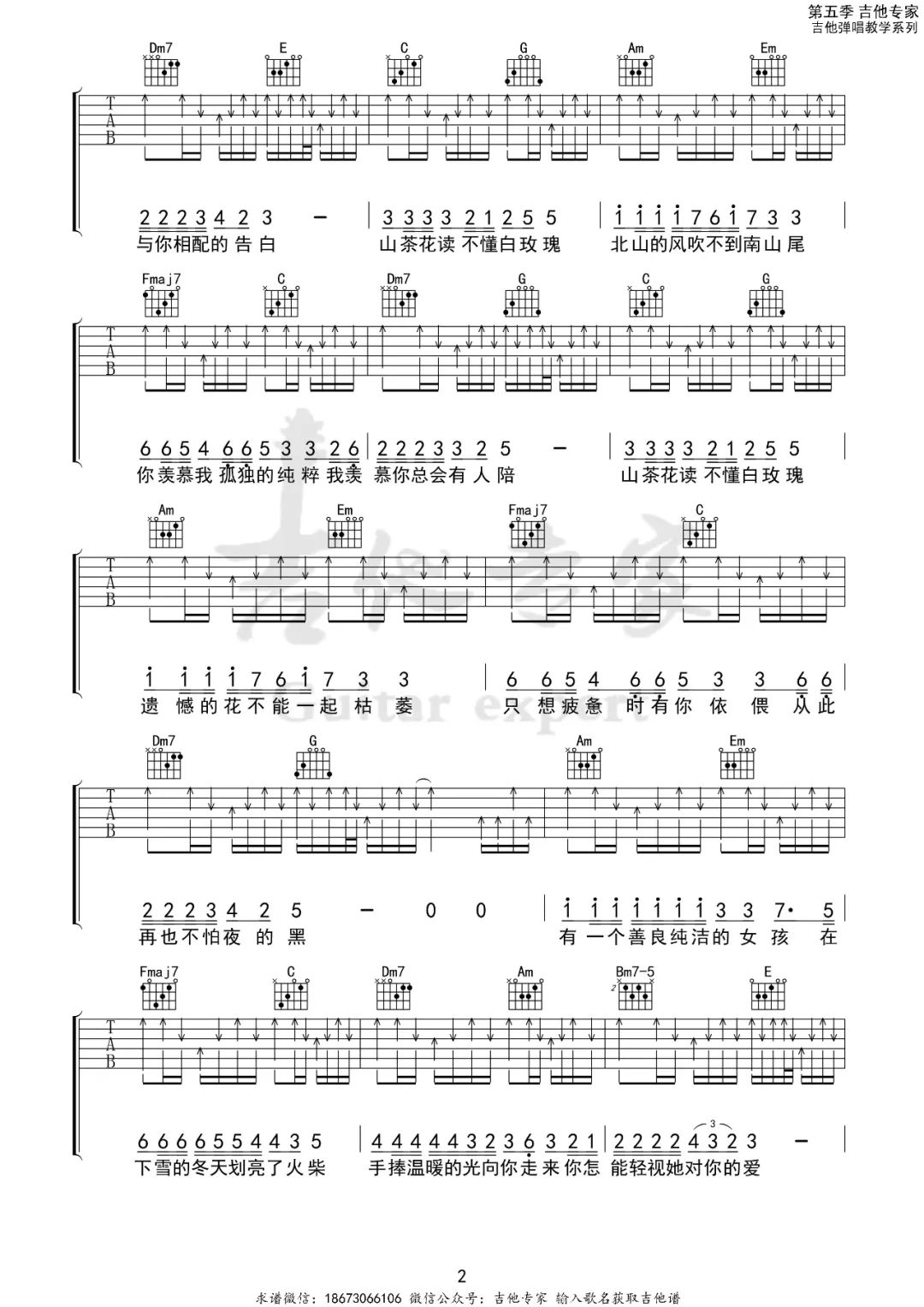 山茶花读不懂白玫瑰吉他谱2