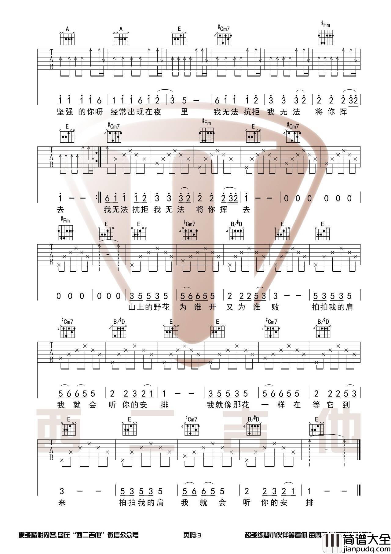 野花吉他谱_E调原版_西二吉他编配_旦增尼玛