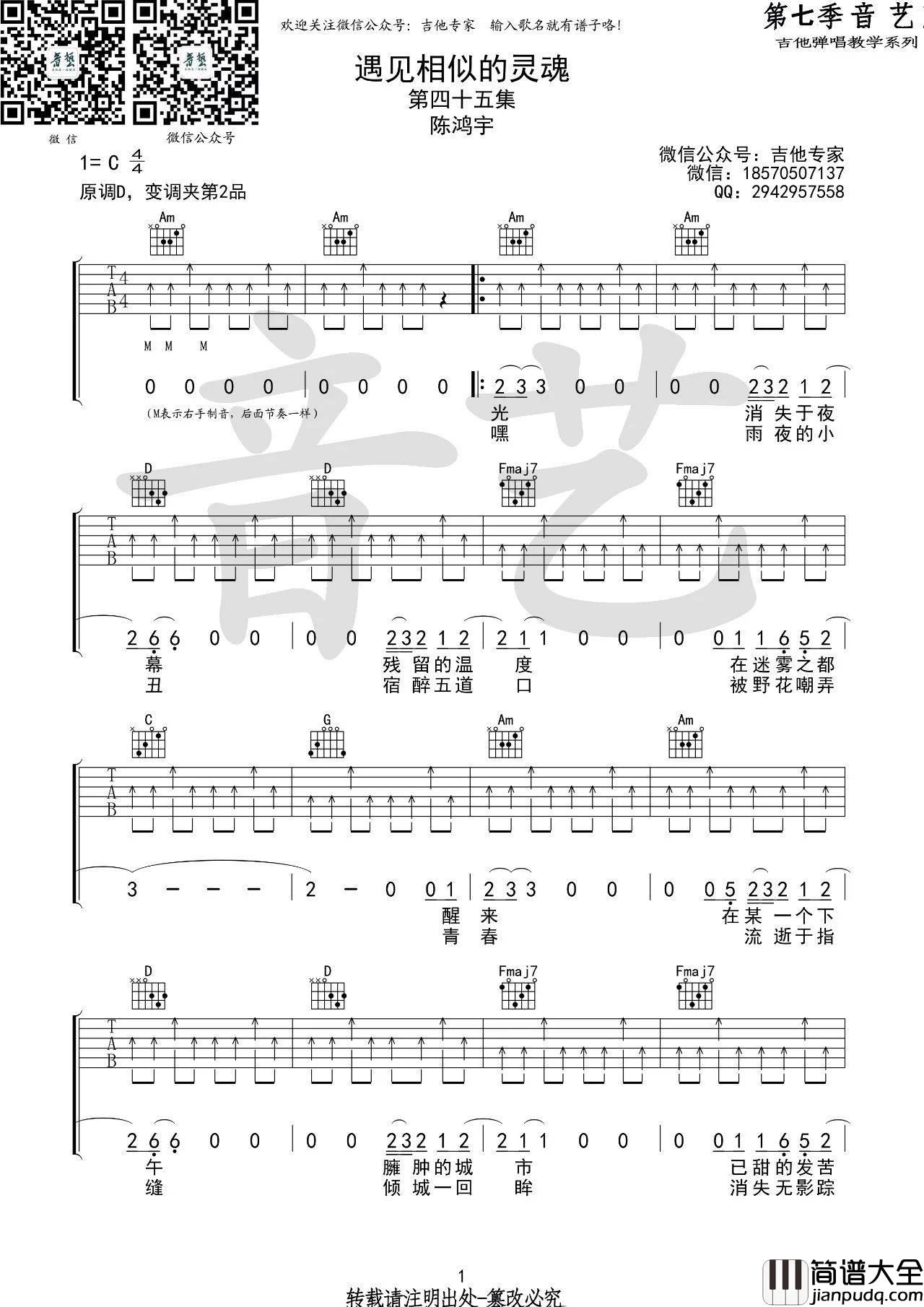 遇见相似的灵魂吉他谱_C调_吉他专家编配_陈鸿宇