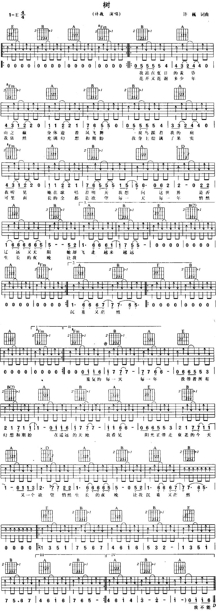 许巍_树_吉他谱_E调弹唱六线谱_许巍