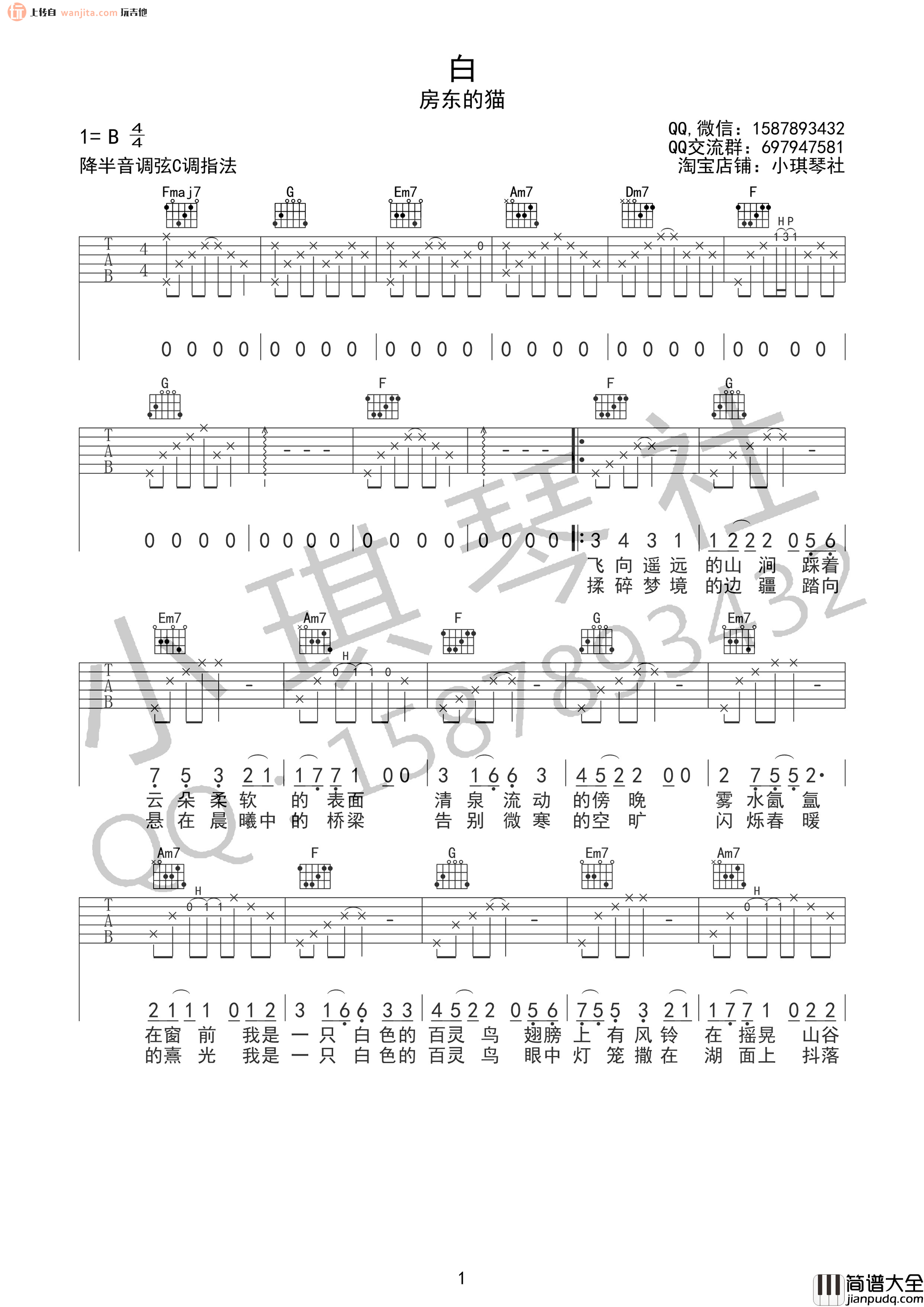 白吉他谱_房东的猫_C调六线谱__白_吉他弹唱谱