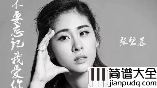 不要忘记我爱你吉他谱_张碧晨_我飞蛾扑火的样子，只是希望你不要忘记我