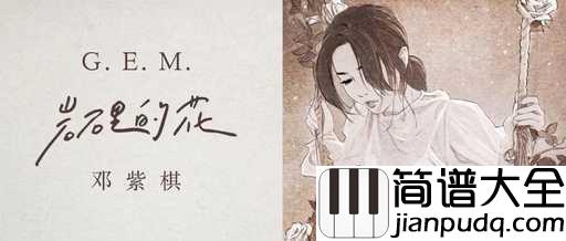 岩石里的花吉他谱_邓紫棋_岩石里的花会开，是我对你最疯狂的爱