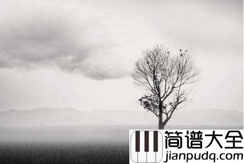 我们并不孤独只是格格不入吉他谱_葱头_当你习惯孤独时，你也就不会孤独