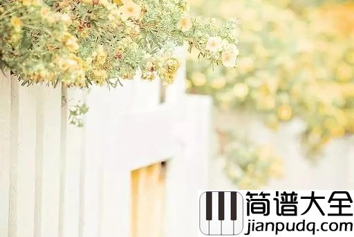 催眠曲吉他谱_贾涛戴/雨哲_每当这催眠曲响起，我又想起了你