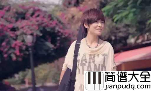 淡淡的歌吉他谱_许飞_用淡淡的歌唱出那深深的爱恋