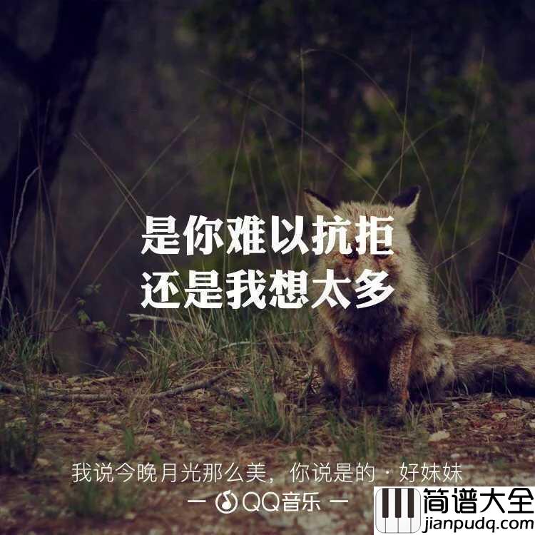 我说今晚月光那么美，你说是的吉他谱_好妹妹乐队_我喜欢你，你说是的