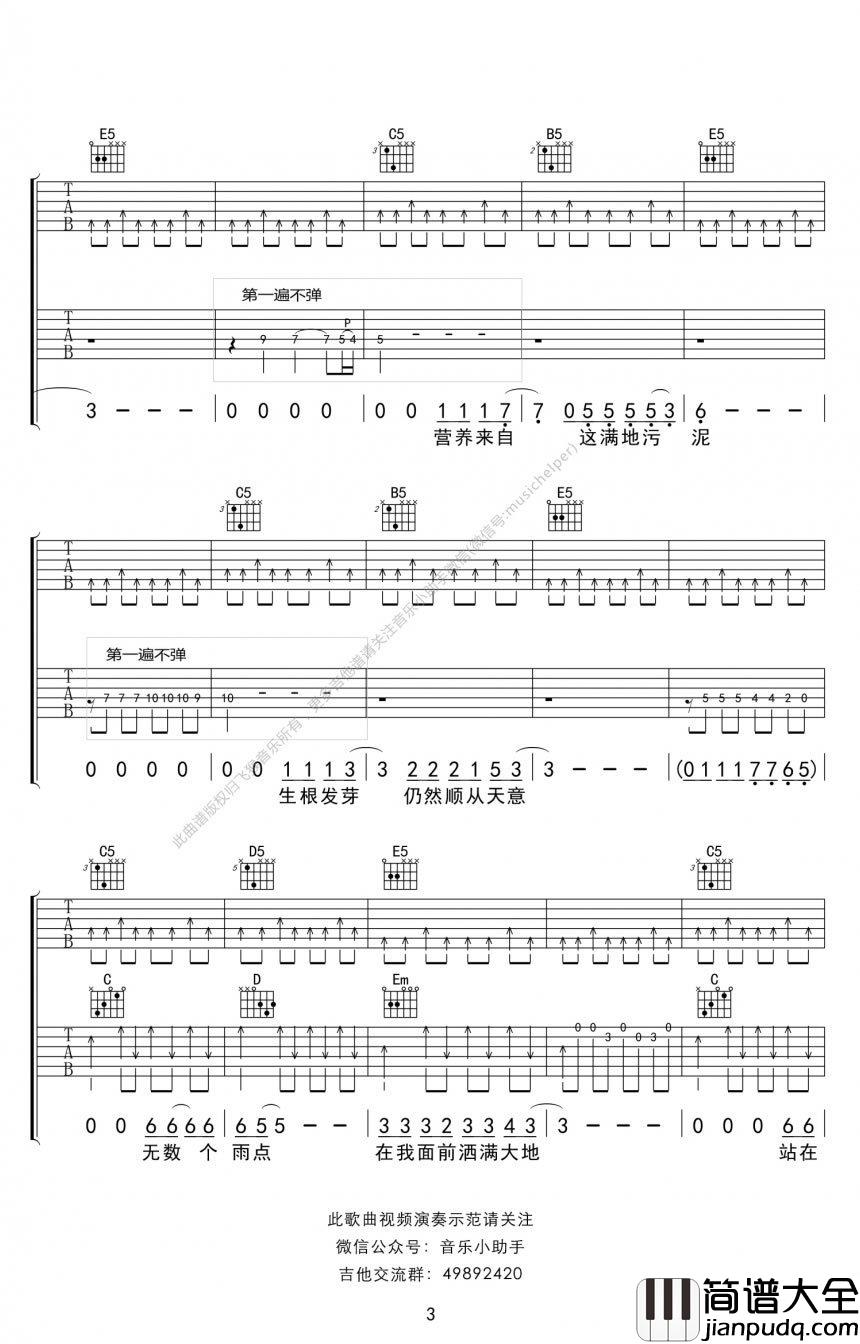 向阳花吉他谱_谢天笑_完整版弹唱谱