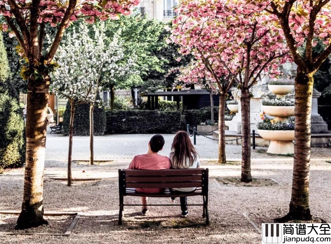 致橡树吉他谱_程天意_从来没有因为爱情的痛苦而停止去追寻爱情