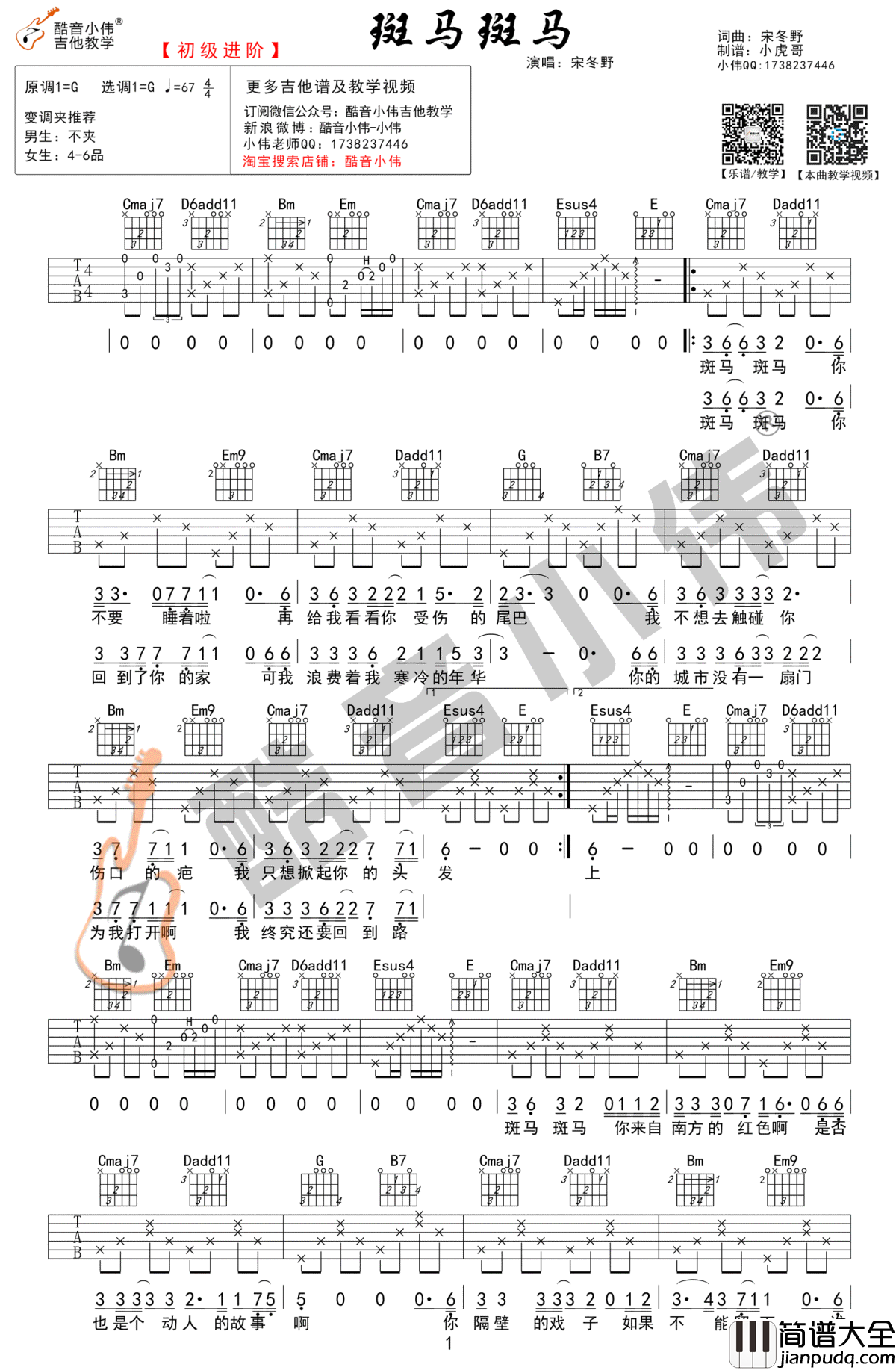 斑马斑马吉他谱_G调指法_宋冬野_吉他弹唱教学视频