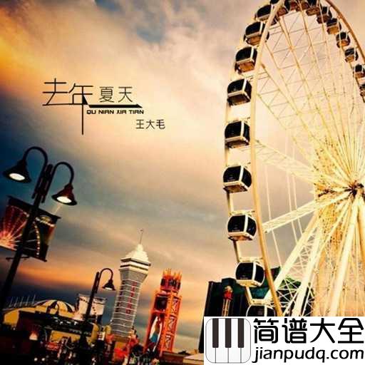 去年夏天吉他谱_王大毛_总会遇见那个对的人，错过了很可惜，用全部对她好