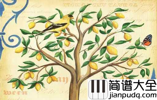 lemon_tree柠檬树吉他谱_Fool's_Garden_听完每天都会有个好心情