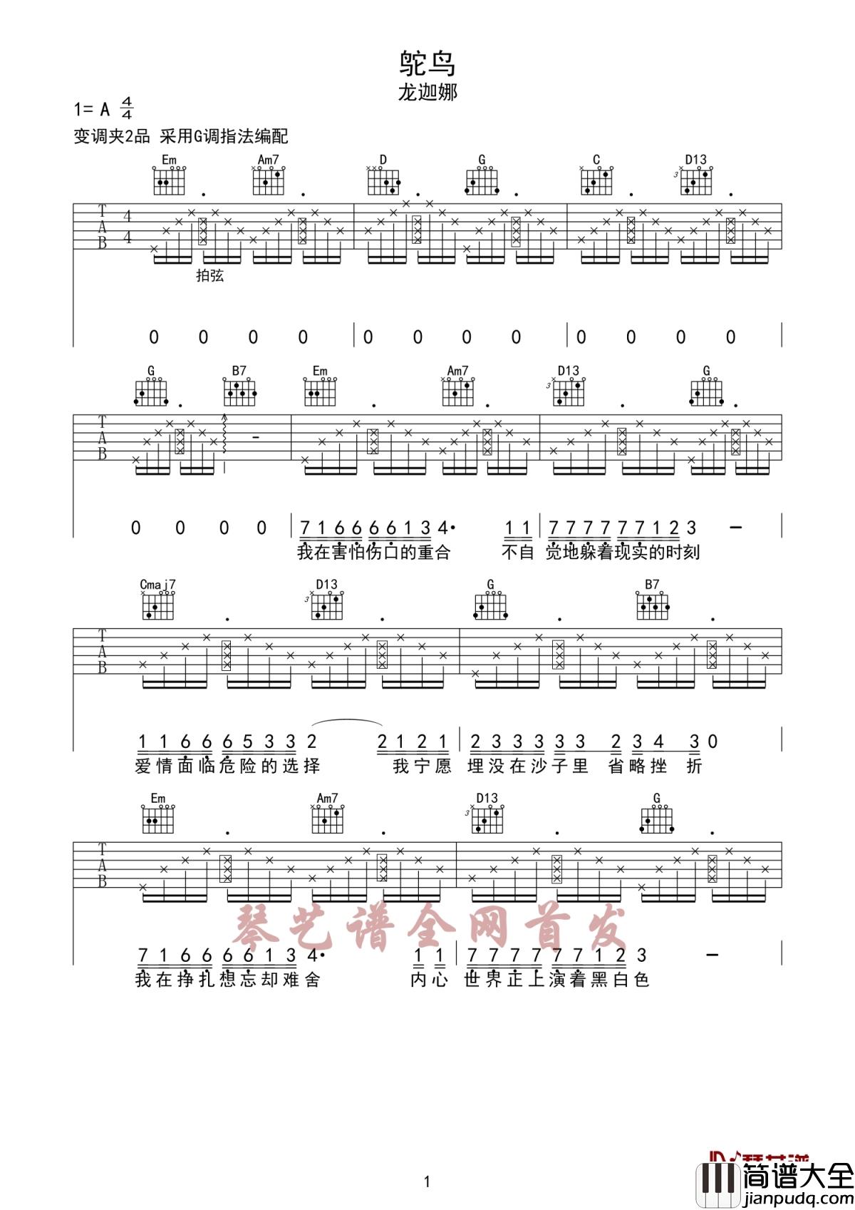 鸵鸟吉他谱_龙迦娜_我们就像是一只鸵鸟，藏在沙土里的眼泪，便是TA的整个世界