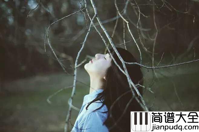 十二吉他谱_留声玩具_你是我不能拥抱的短暂理想