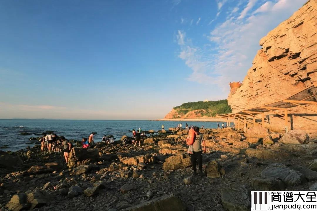 长岛吉他谱_花粥_你听说__有些人不爱说话就变成了哑巴