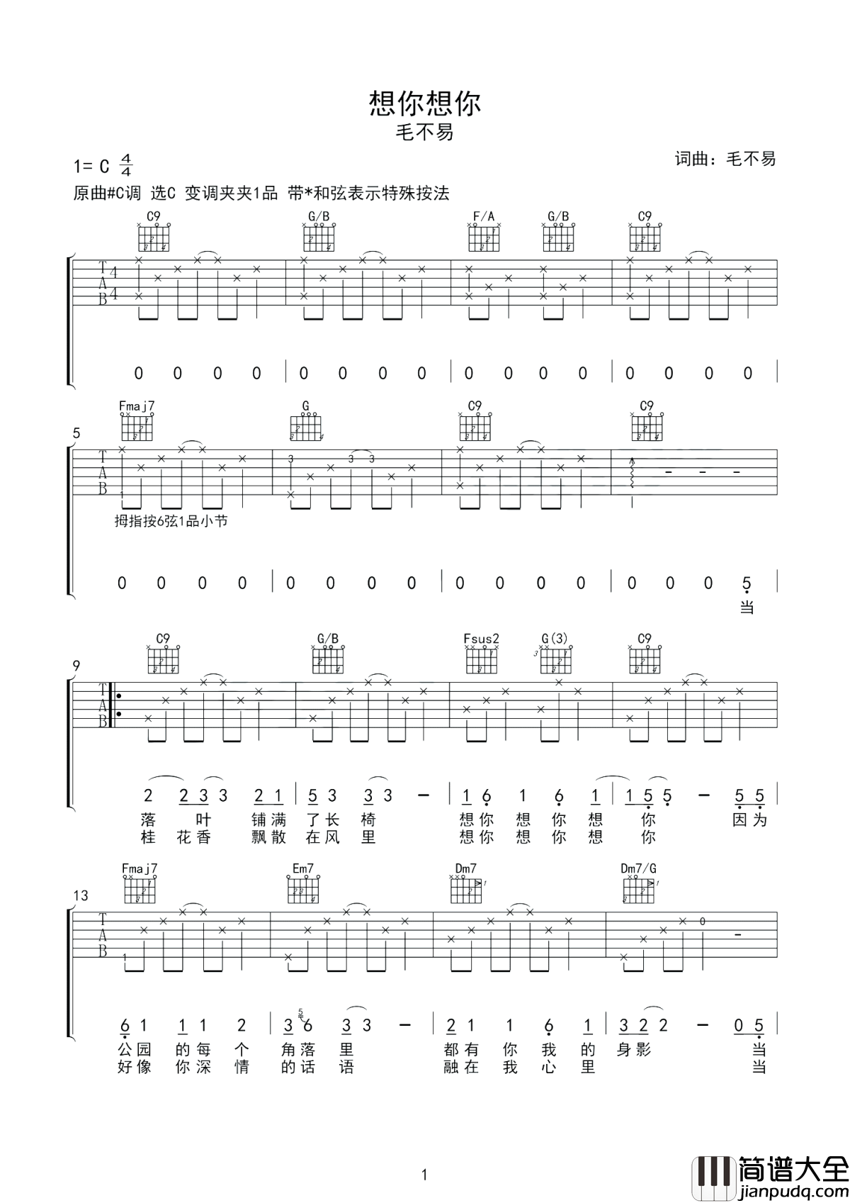 想你想你吉他谱_毛不易_想起我们终究也没有在一起