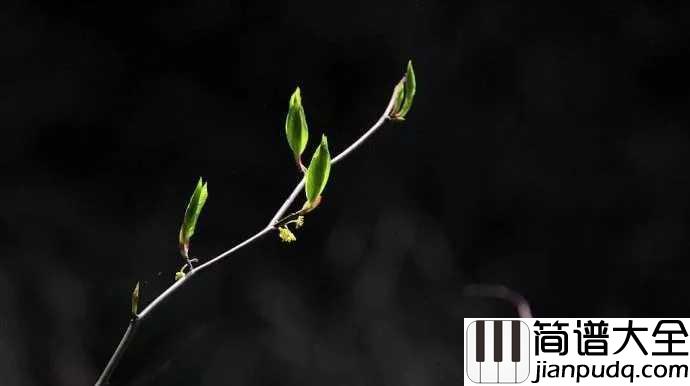 懂得吉他谱_李健_世间冷暖，无非自然