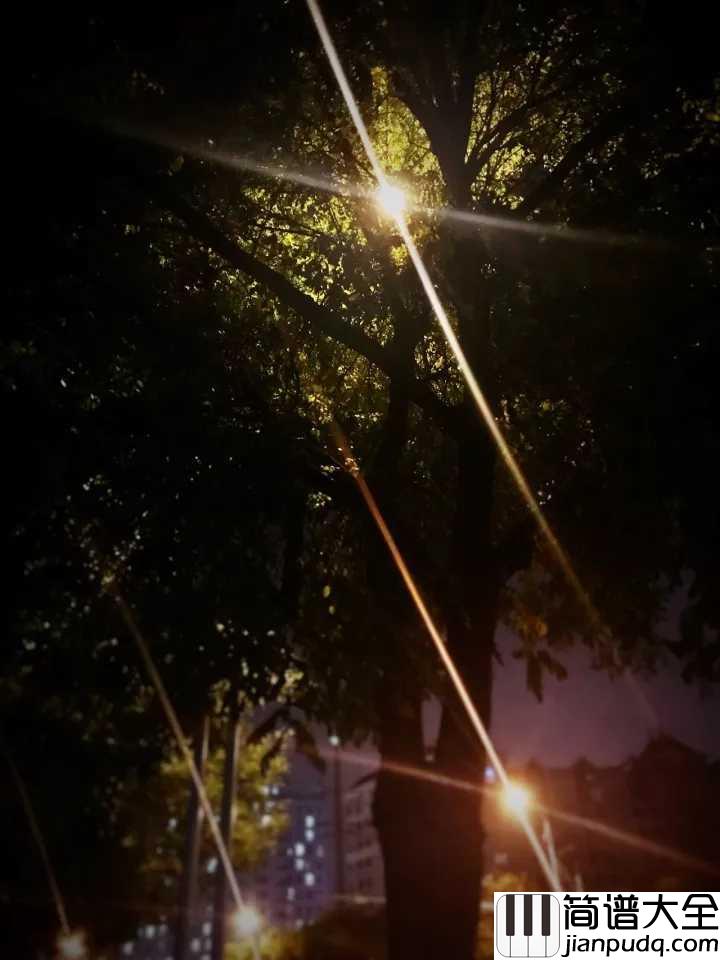 城市之光吉他谱_李健_电影心理罪之城市之光回归版主题曲