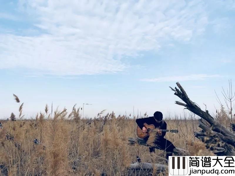 理想三旬吉他谱_陈鸿宇_如果漂泊是成长__必经的路牌