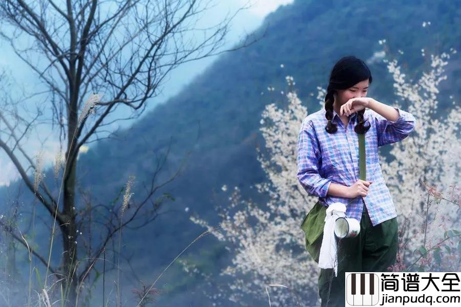 小芳吉他谱_李春波_今生今世我不忘怀