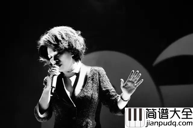 恰似你的温柔吉他谱_蔡琴_但愿那海风再起