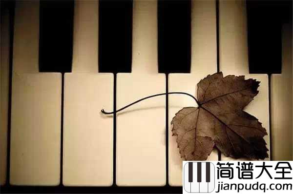 卡农吉他谱_背后有一段感人的爱情故事